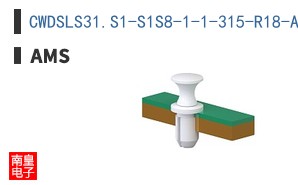 CWDSLS31.S1-S1S8-1-1-315-R18-AUO
