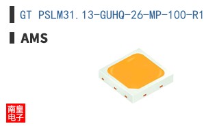 GT PSLM31.13-GUHQ-26-MP-100-R18