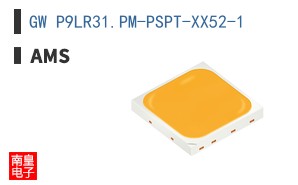 GW P9LR31.PM-PSPT-XX52-1