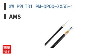 GW P9LT31.PM-QPQQ-XX55-1